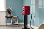 40   . Dynaudio    Special Forty