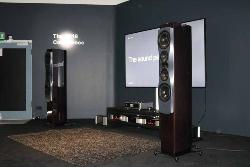 Dynaudio Confidence:    